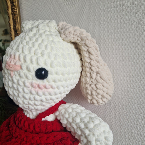 Adorable Lapin Géant